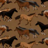Josie Bottom - Bronco - Image 4